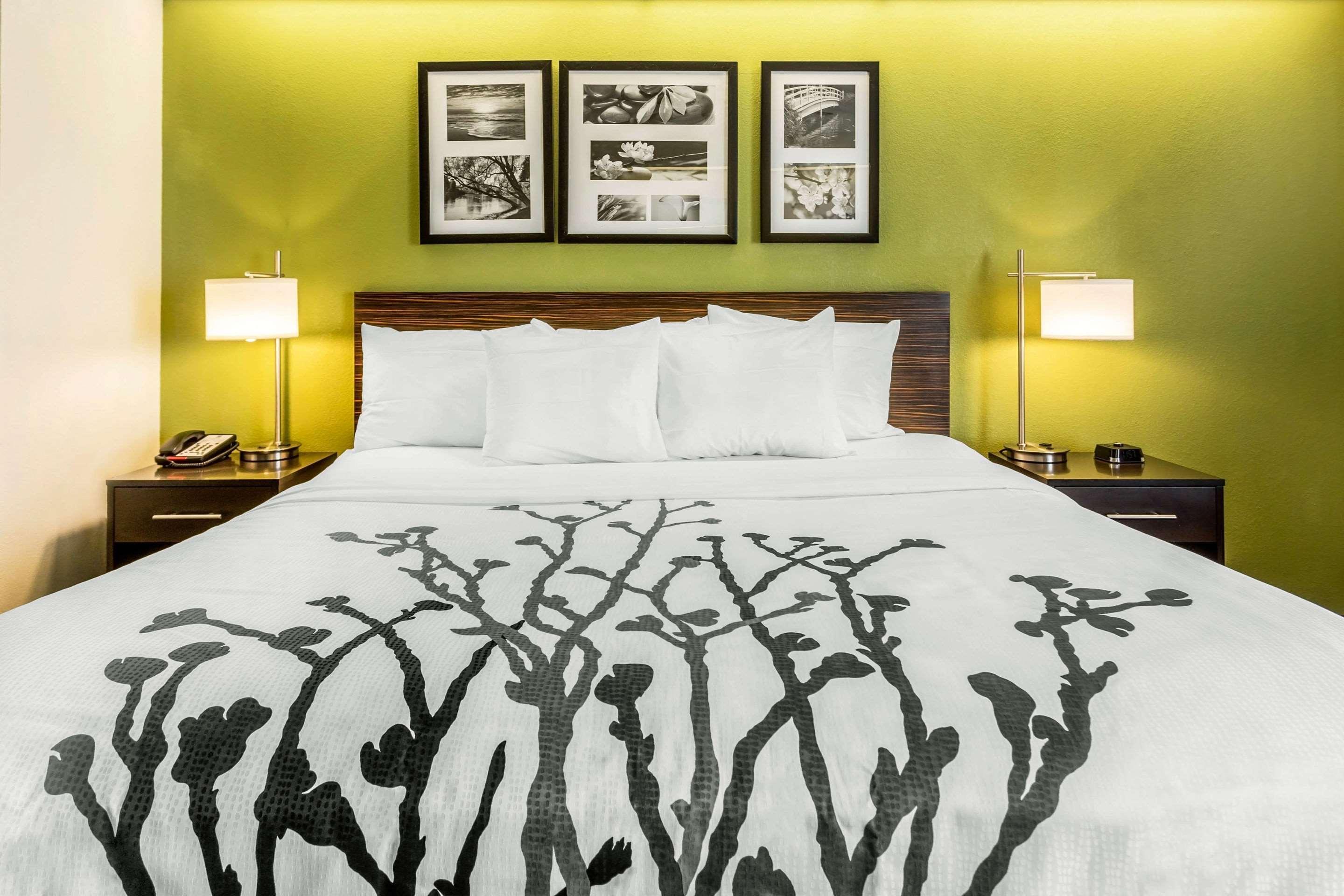 Sleep Inn Charleston - West Ashley מראה חיצוני תמונה